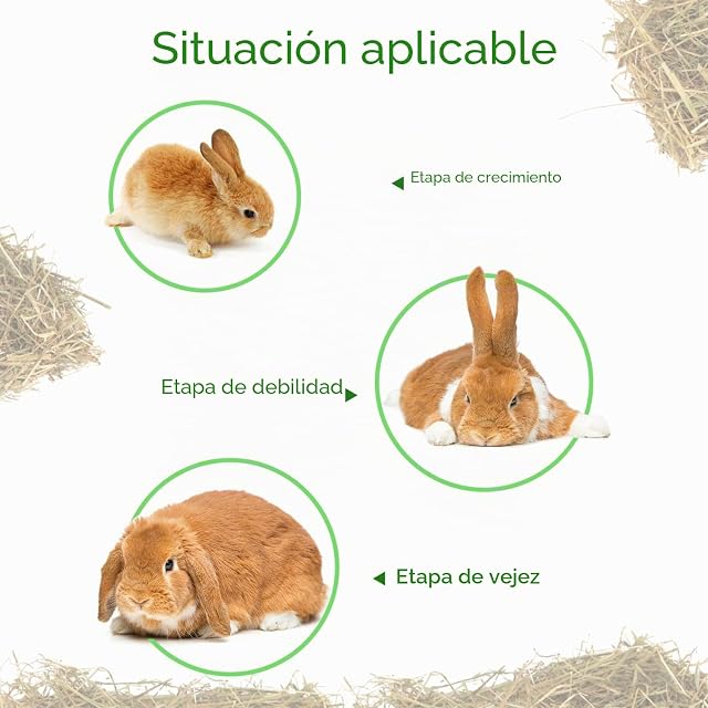 Foto 3 de 7 de Nobleza - (2 * 2.5kg Heno para Conejos, Comida Premium para Conejos Adultos, Alimento con Fibra Desgaste…