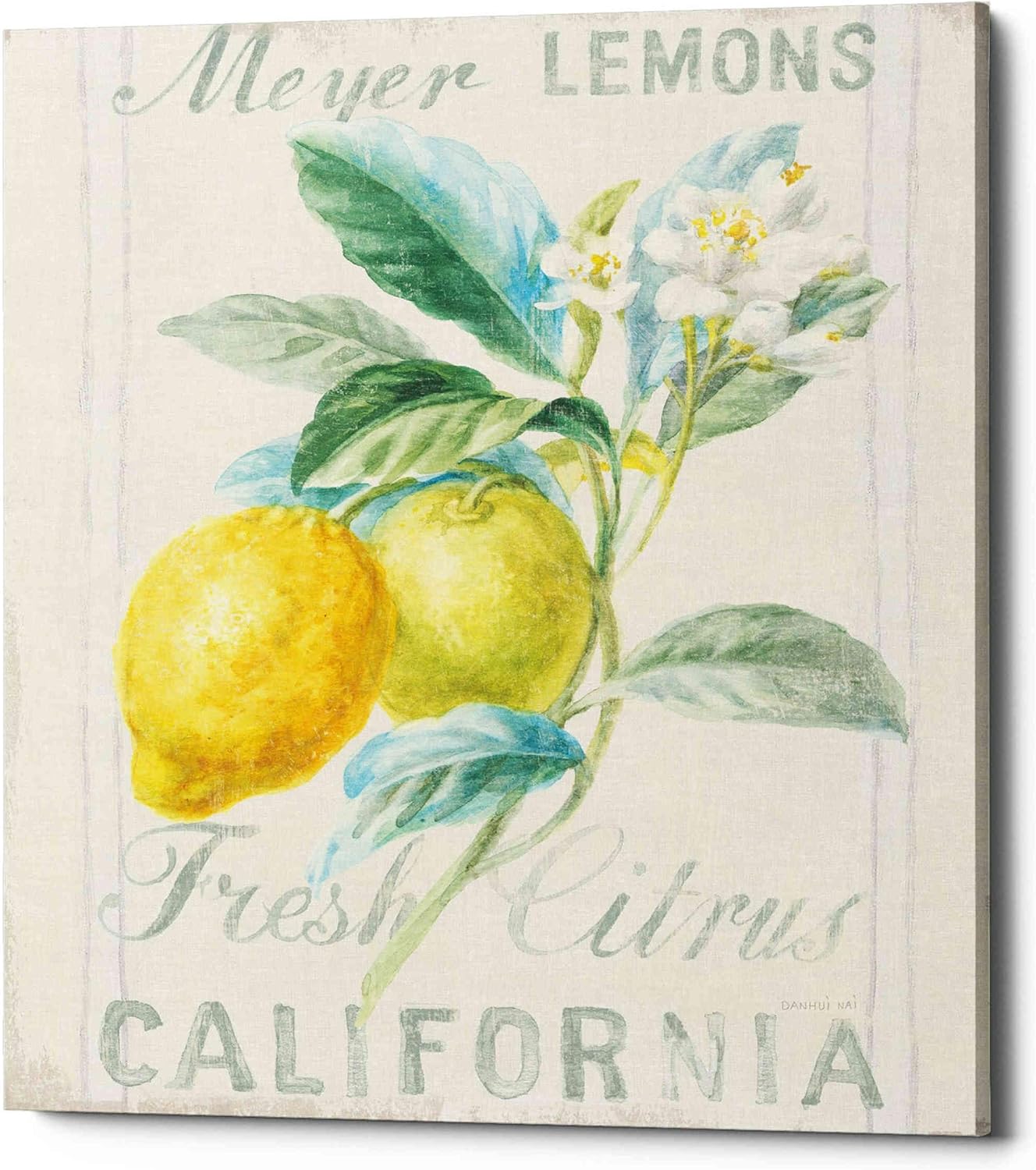 Epic Graffiti 'Floursack Lemon II' by Danhui Nai, Canvas Wall Art, 12"x16"