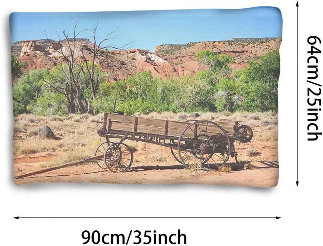 review Green Brown Thermal Pet Mat Bed Liner Barn Wood Wagon Wheel Old Prairie Cart Cozy Self Heating Warming Kitty Kitten Puppy Small Dog Bed Countryside 25
