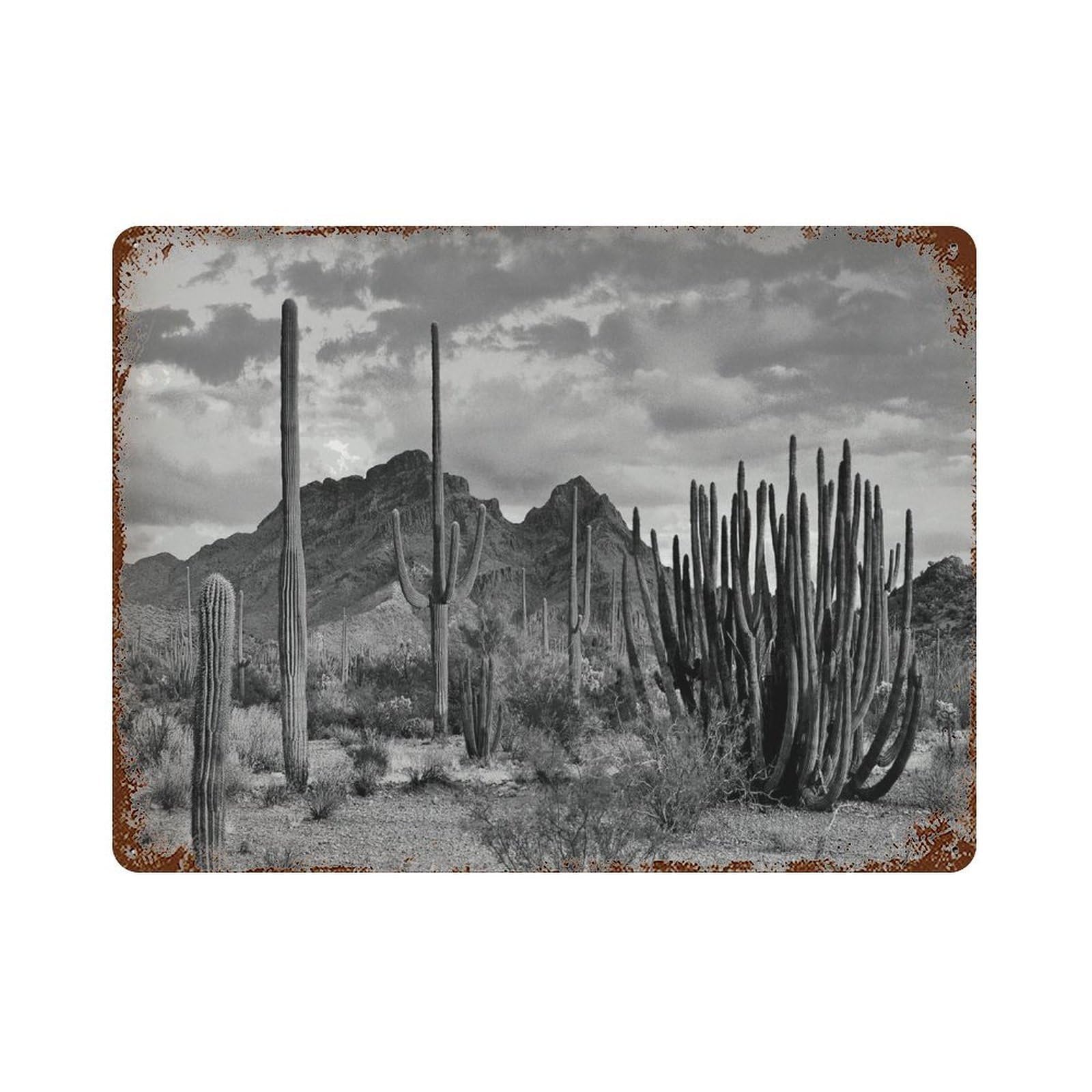 xiaoxiaoshen Vintage Desert Landscape Black And White Southwestern Decor, Cactus Large Wall Decor Art Metal Tin Poster Modern Home Decor Art Home Bar Shop Decorations Vintage Sign 30x40cm