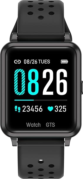 largest smartwatch 2019