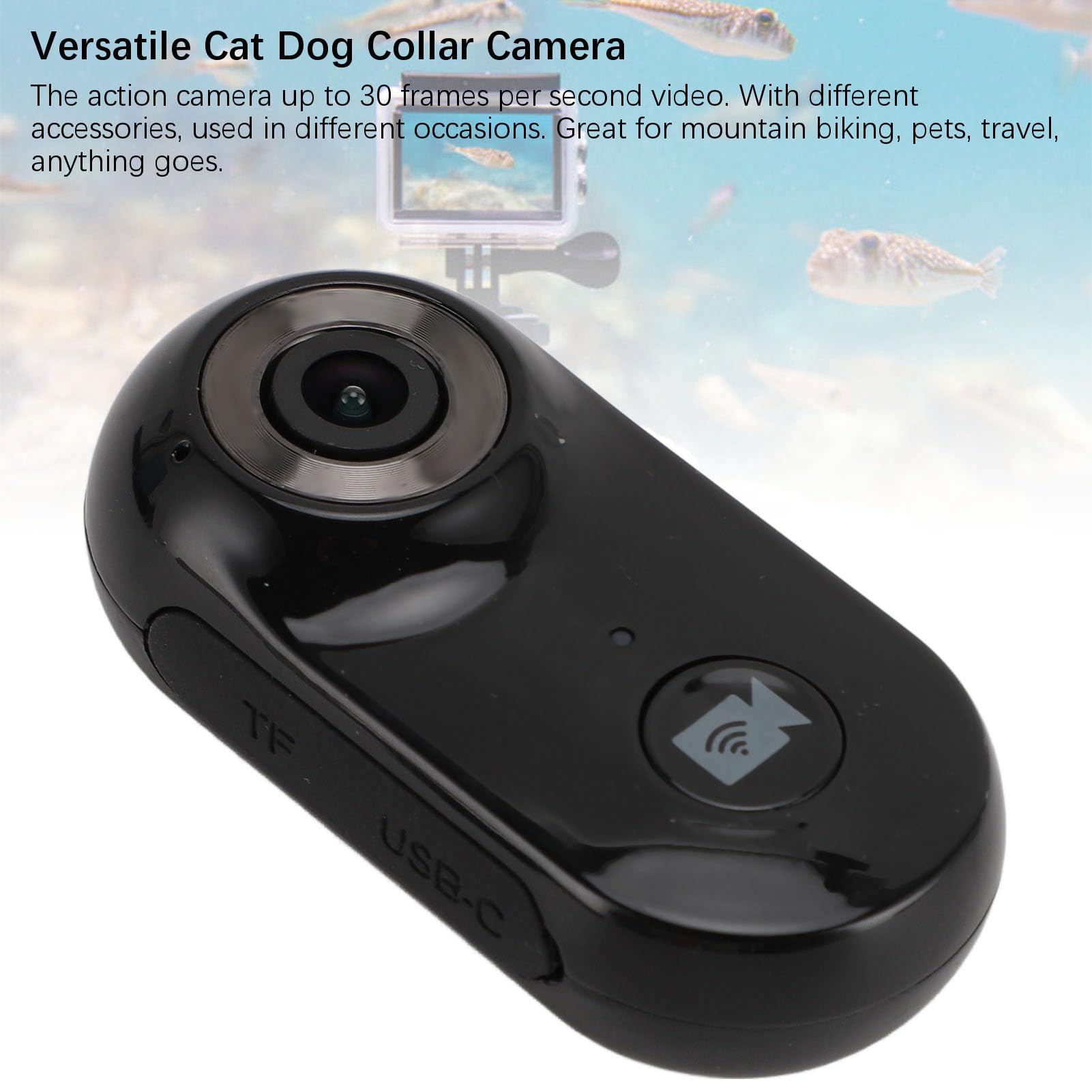 Untitled, image size:1601x1601