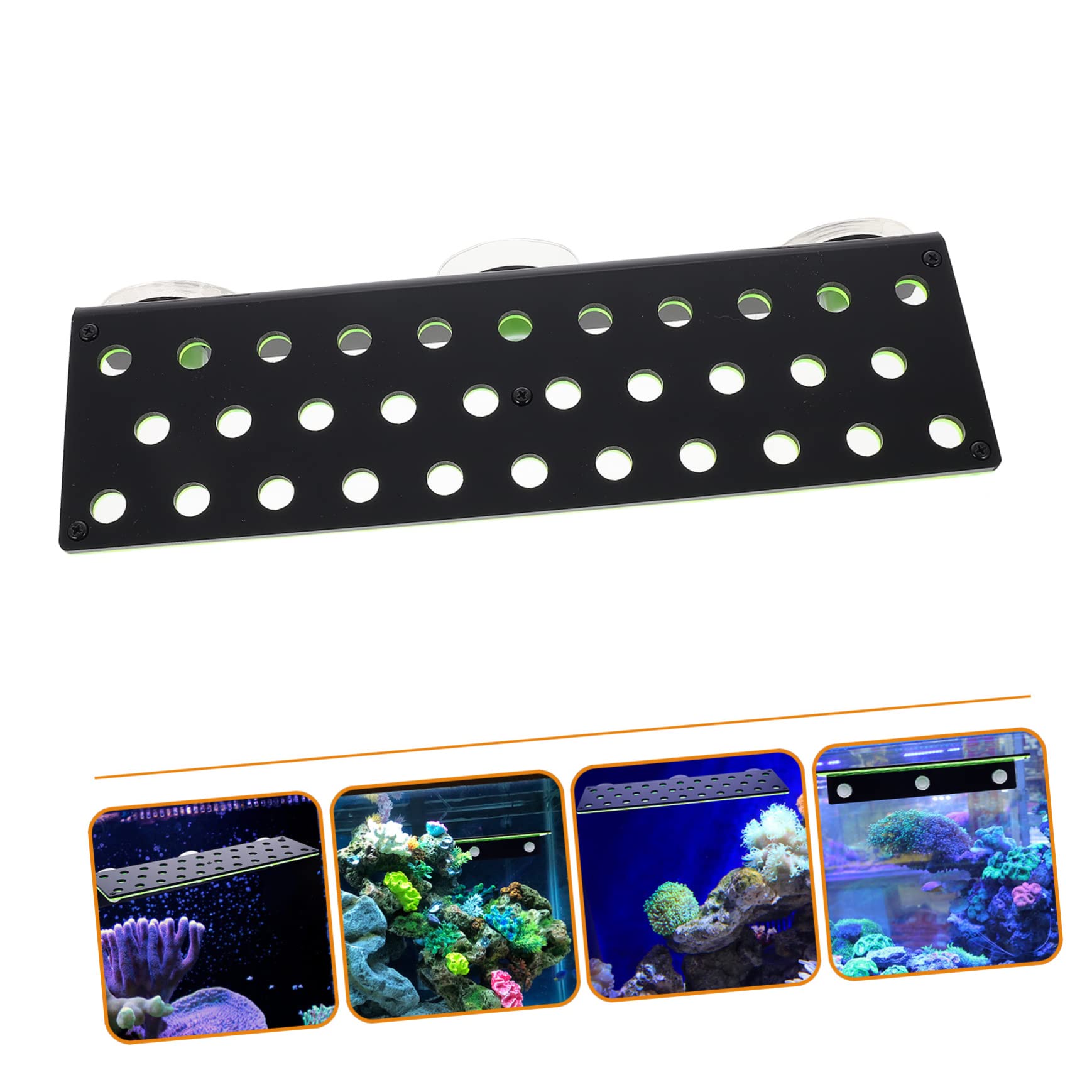 Grünes Acryl Ablegergestell mit 32 Löchern, Doppellagig für Korallen | Aquarienzubehör, zur Zucht Lebender Korallen und Dekoration, Leicht zu Reinigen