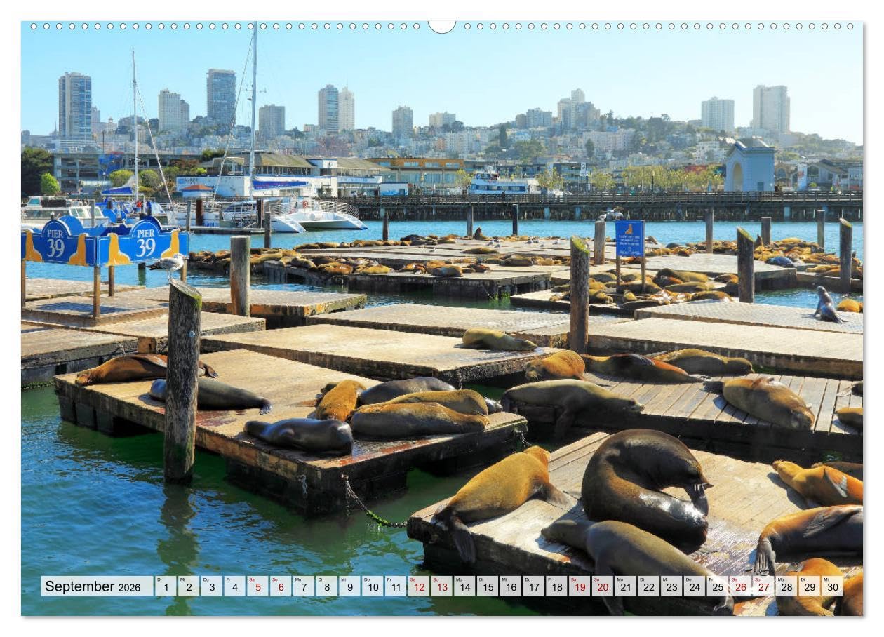 San Francisco - City on the Bay (Wandkalender 2026 DIN A2 quer), CALVENDO Monatskalender: Faszinierende Bilder der Traumstadt San Francisco an der Pazifikküste in Kalifornien (CALVENDO Orte)