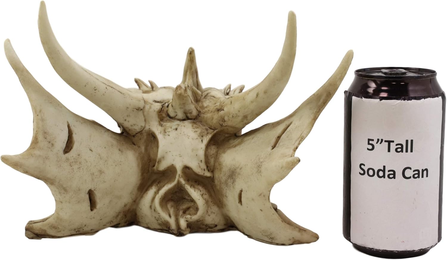 Ebros Gift Jurassic Grendel Elder Dragon Head Skull Realistic Fossil Statue 9" Long Might and Magic for Medieval Fans Game of Thrones Lovers Dungeons and Dragons Fantasy Decor Figurine