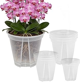 Large Clear Deep Plant Pots
