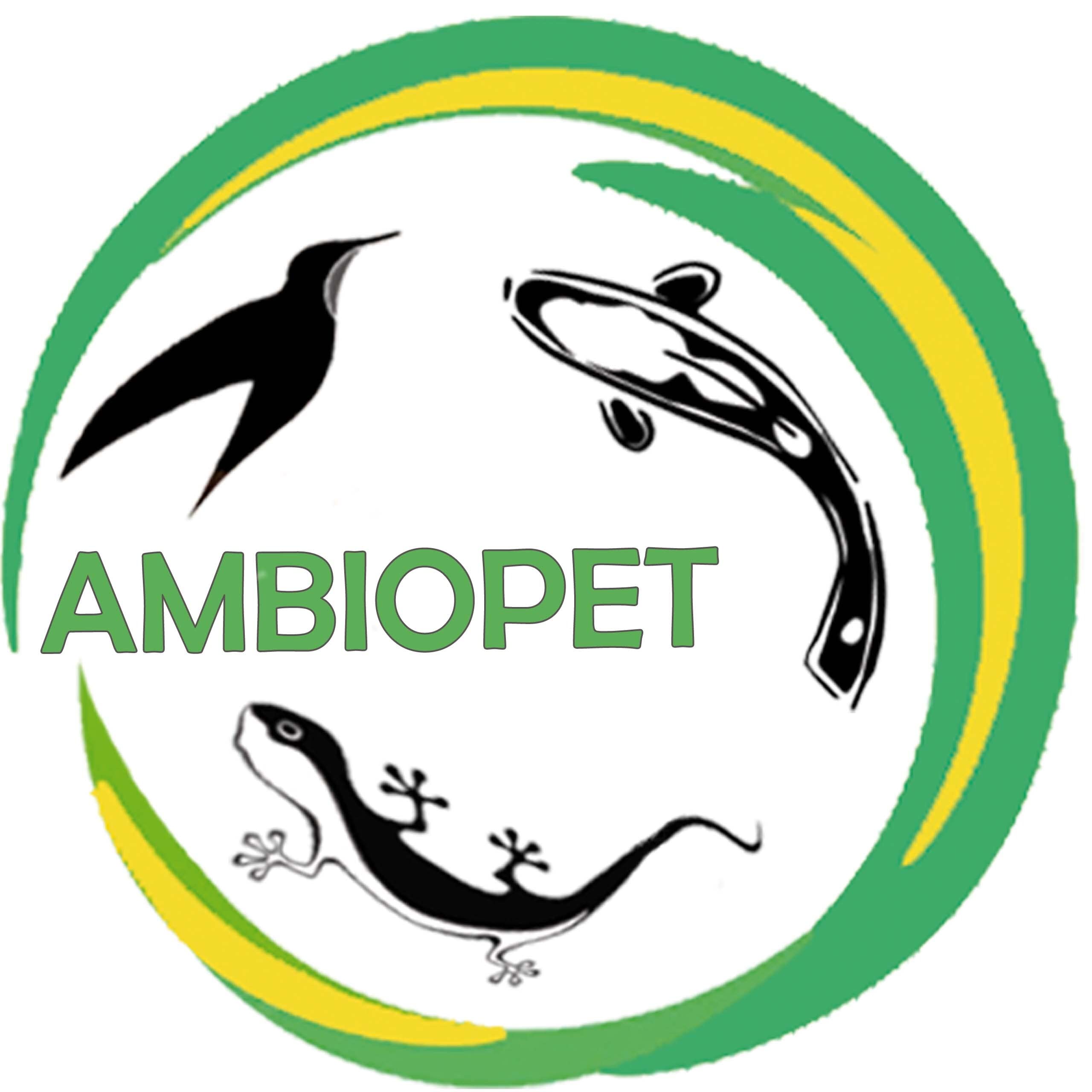 Ambiopet Soldatenfliegenlarven (Hermetia) getrocknet 5kg Packung, Black Soldier Fly, Protein- und fettreiches Wildvogelfutter, reich an Calcium und Laurinsäure - 3