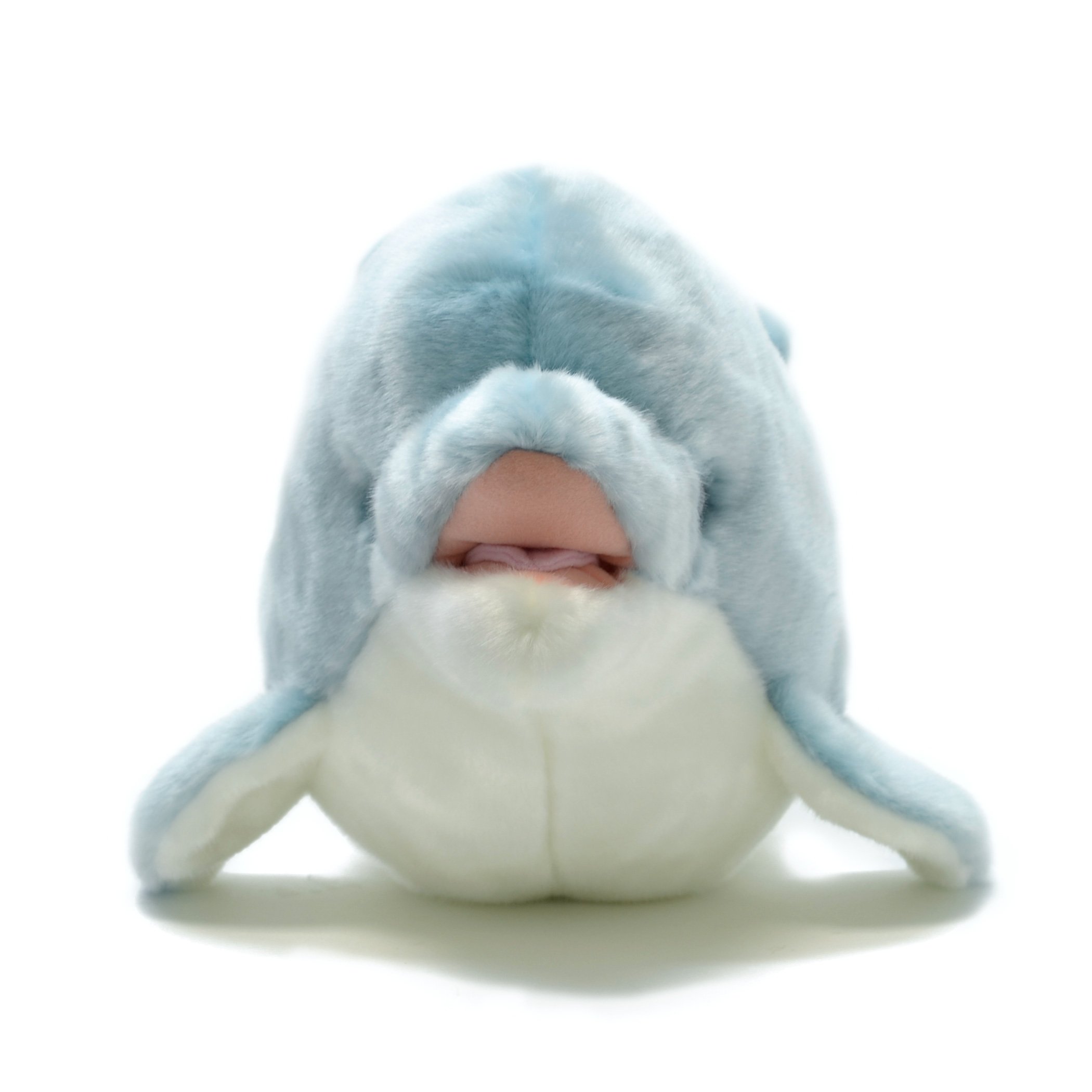 Amazon.co.jp: AQUA ぬいぐるみ マリン イルタン L ブルー 00380037