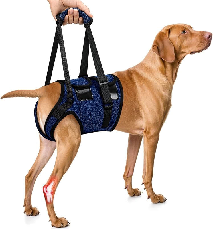 Peitoral de Suporte para Cães SlowTon com Alça Ajustável e Abertura para Higiene