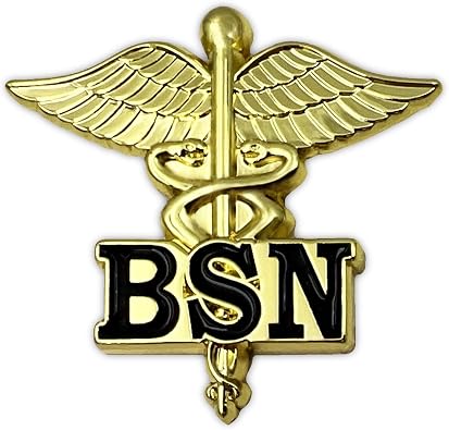 Bachelor of Science in Nursing Emblem Lapel Pin - Letters on Caduceus Brooch - BSN Medical Ceremonie Clip BSN
