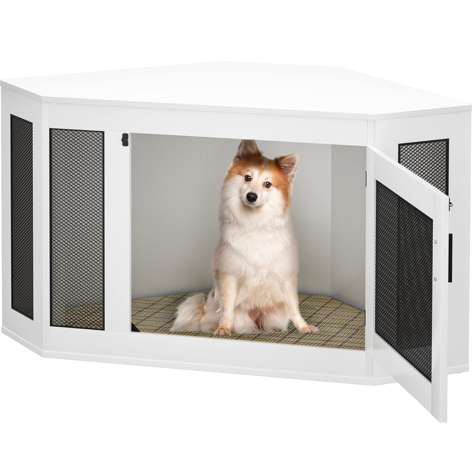 What Temperature Should A Dog Kennel Be