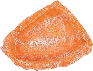 Ipetboom Water Basin Feeder Water Feeder Snake Water Bowl Snake Tank Accessories Tortoise Bearded Dragon Hammock Lizard Dish Crested Gecko Lizard Water Bowl Resin Reptile Water Shelf