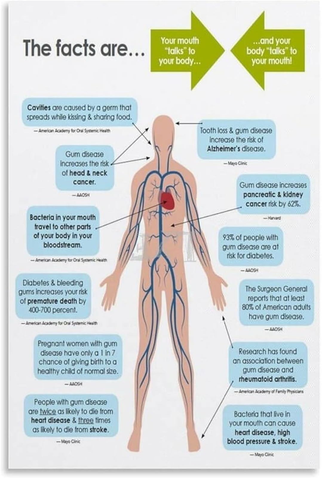 MQXFCZUX Periodontal Gum Disease Stages Poster Tooth Health Diagram Wall-Art for Hygienist Workstation Cubicle