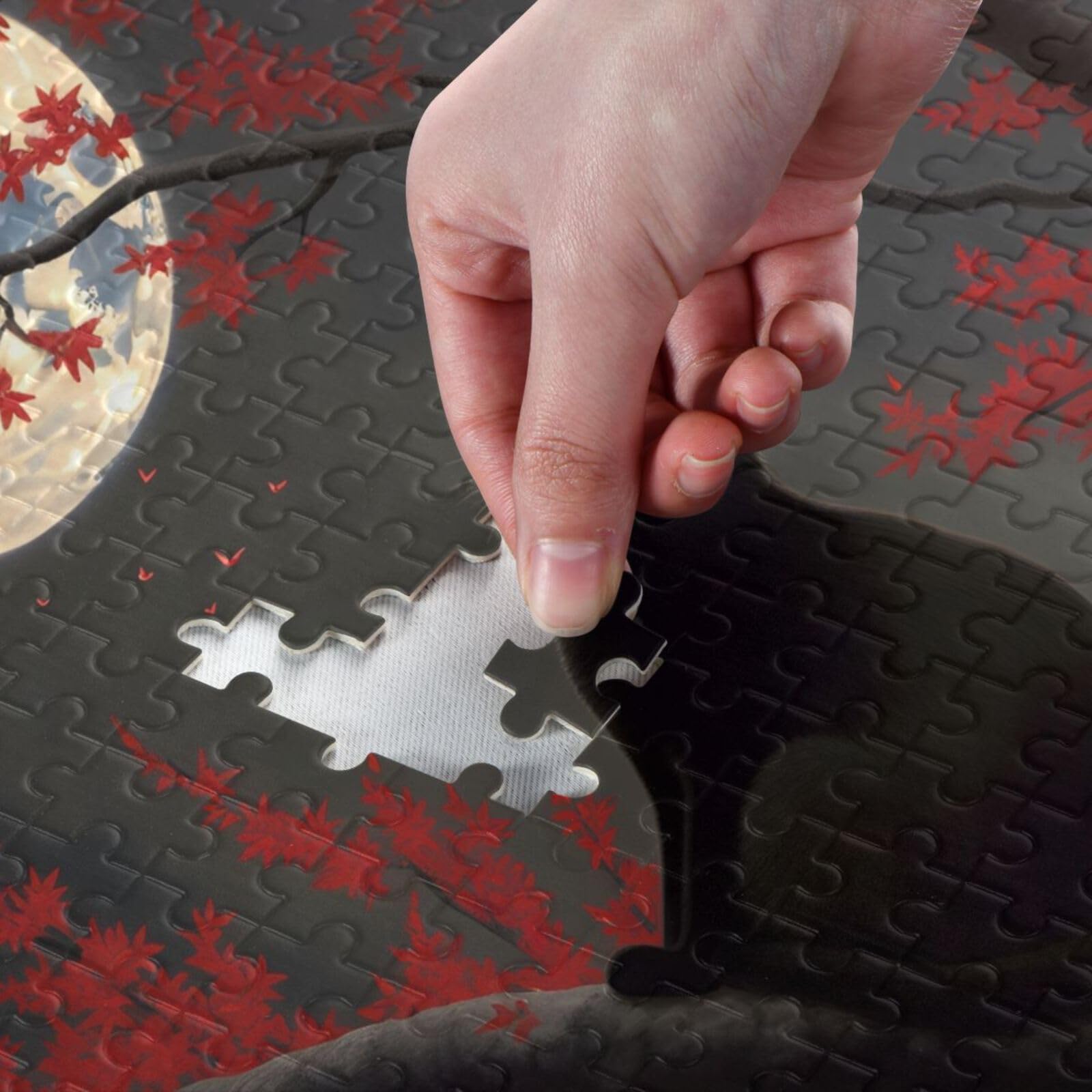 Amazon.com: XYMZR Jigsaw Puzzle 500 Piece, Black Cat Sit in Branch