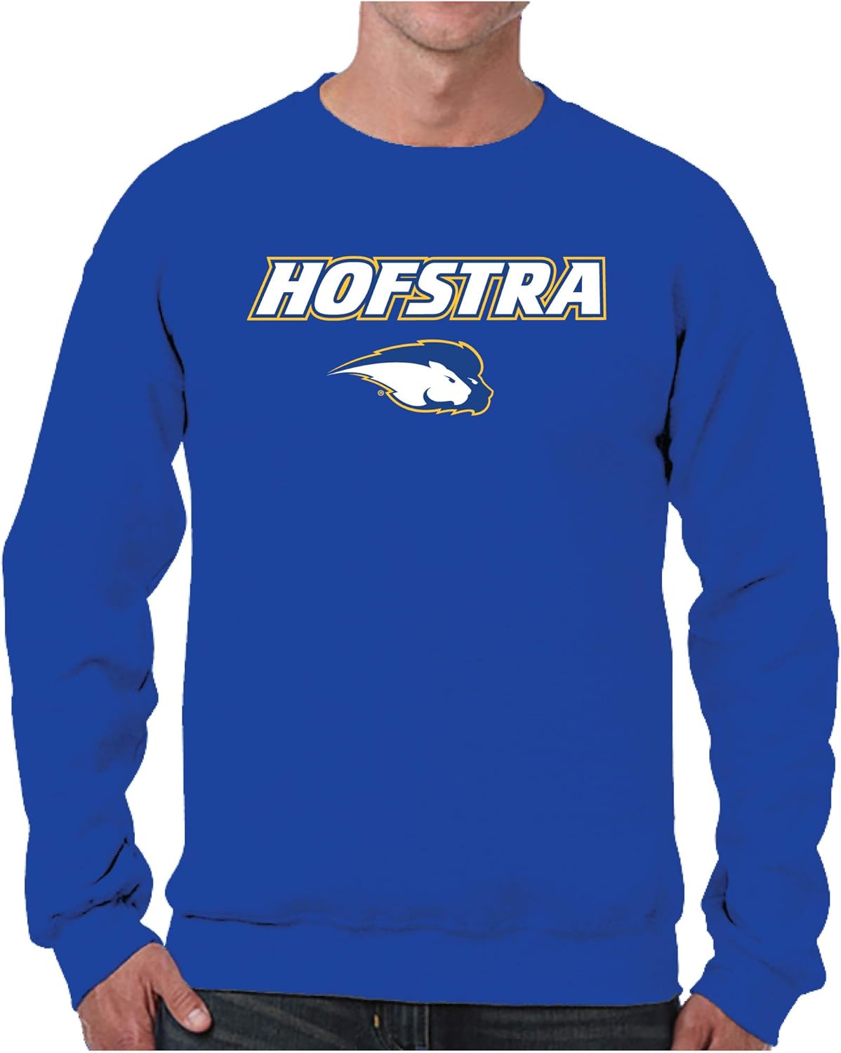 Campus Colors NCAA Adult Arch & Logo Soft Style Gameday Crewneck Sweatshirt - Officially Licensed Product