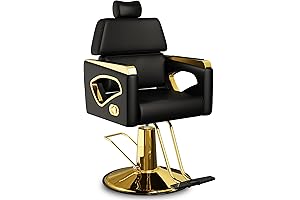 Baasha Lift-Back Salon Chair: Unwavering Comfort and Sophisticated Style