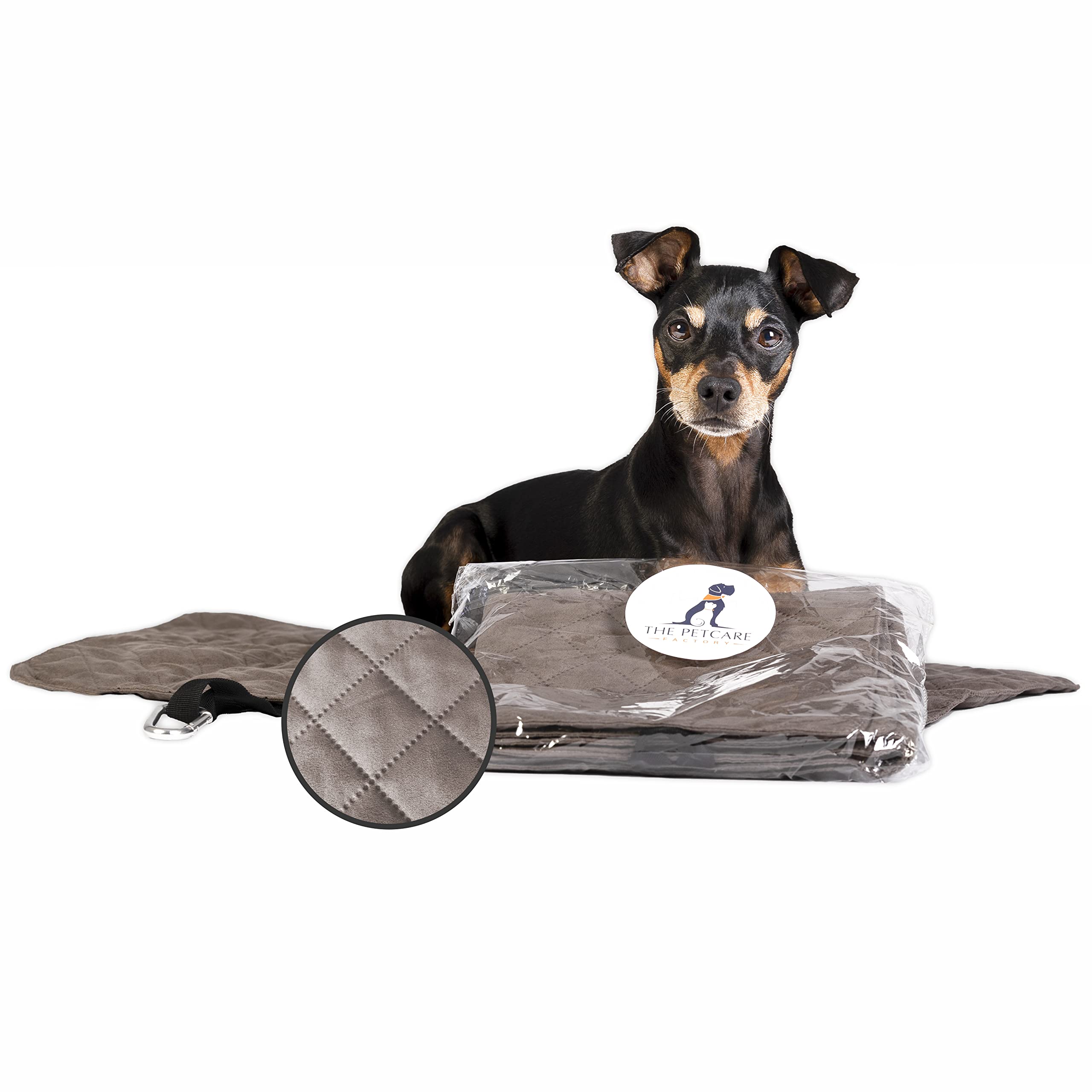 Tapis de voyage pour chien soulage les articulations couchage extérieur L