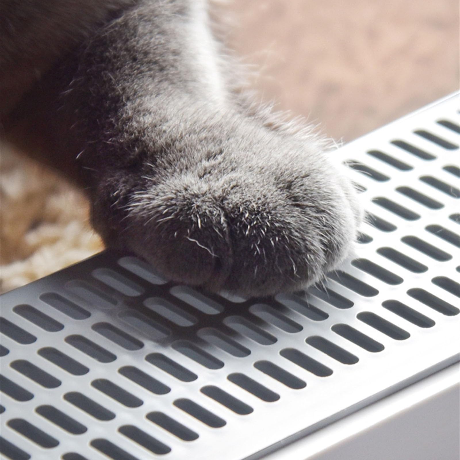 Exclusivo para Gatos y Perros Caja de Arena Grande con Lados Altos, Caja for Gatos Abierta Pala, estándar Duradera, Montaje sin Herramientas, for Varios para Interiores(L)