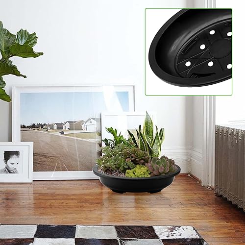 Miniatura 7 de JAPCHET 12 macetas ovaladas de entrenamiento para bonsái, macetas de plástico con agujeros de drenaje, maceta ovalada para guardería, hogar, jardín