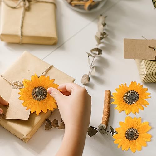 Miniatura 5 de 48 piezas de girasoles secos prensados de otoño para manualidades, mini girasoles, pétalos, flores secas amarillas prensadas para moldes de resina,