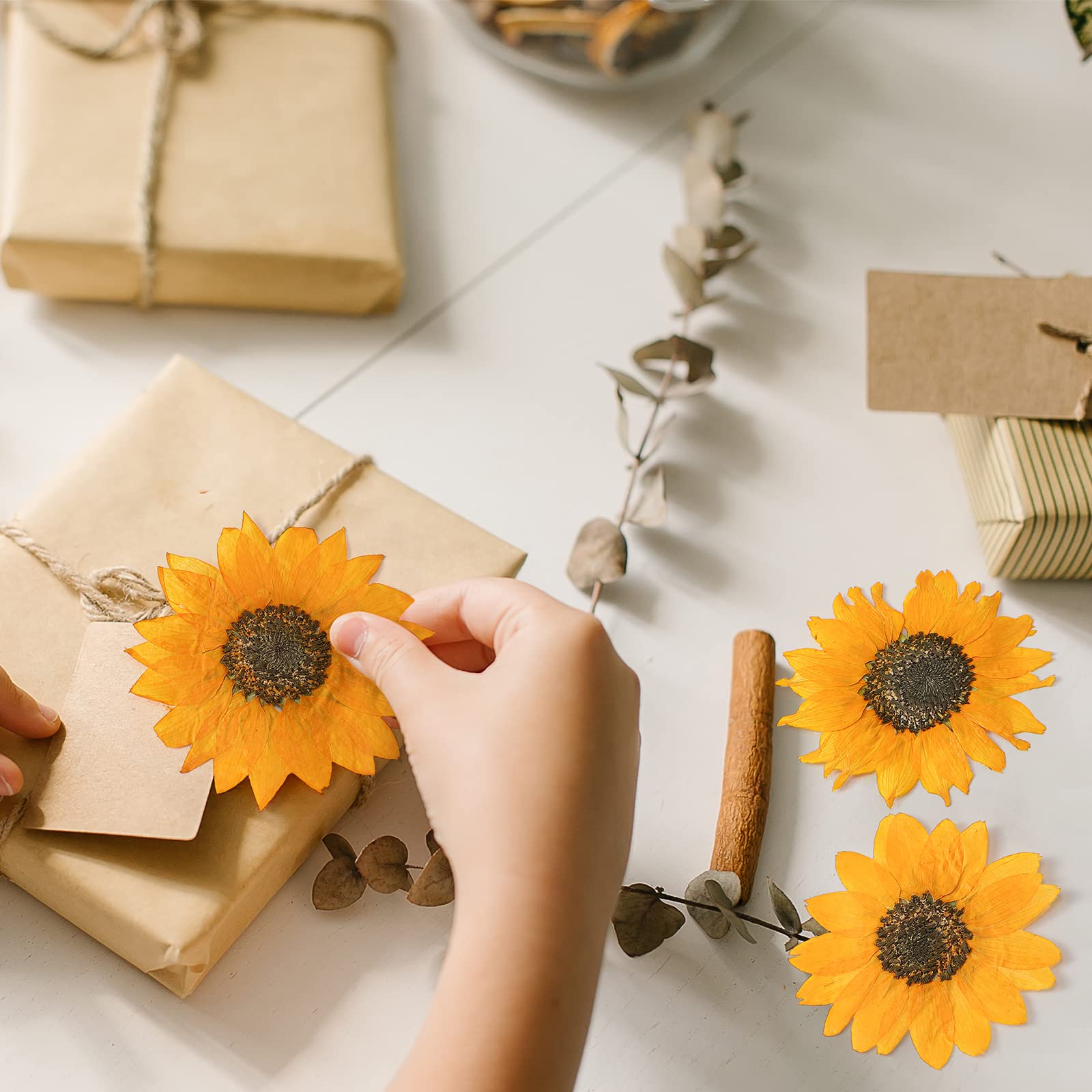 Gepresste Blumen zum Basteln, getrocknete, gepresste Sonnenblumen für Harz, Mini-Sonnenblumen, echte Natur, getrocknete Sonnenblumen, Großpackung, gelbe getrocknete Sonnenblumenblätter für Schmuck