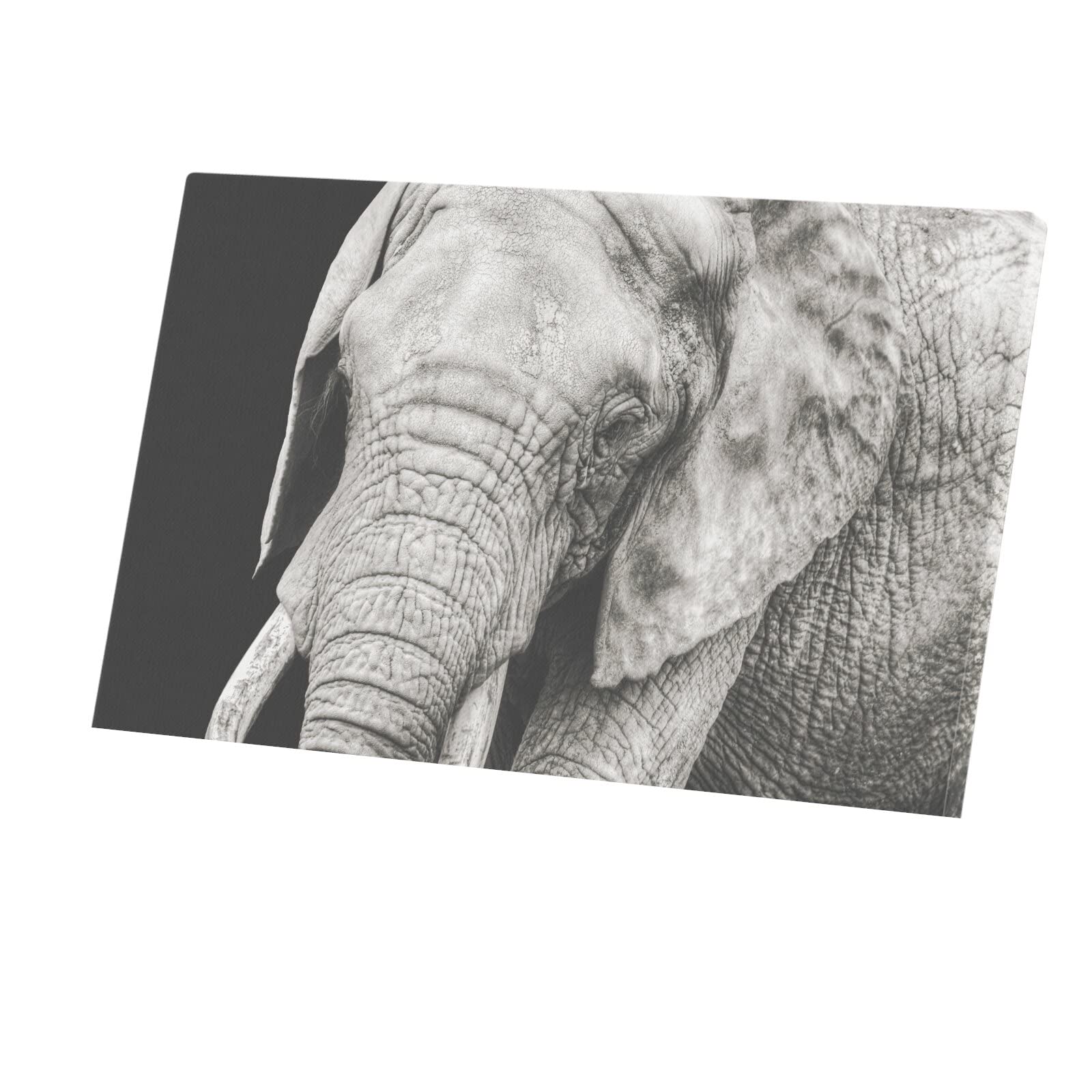 Tableau Éléphant Poster Toile Imprimée Grand Format 96x60 Déco Murale - 4