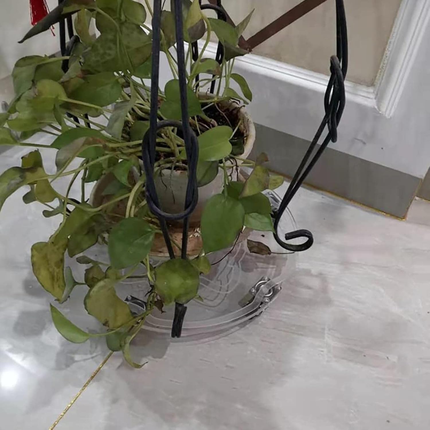 Plant Caddy with Universal Wheels Heavy Duty, Transparent Base Acrylic Tray, Potted Plant Stand Round Flower Pot Mover Indoor Outdoor Rolling Planter