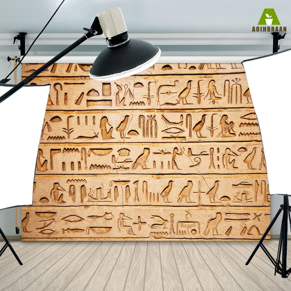 Aoihrraan 3x2,5m Antiguo Egipto Jeroglíficos Fondo Piedra Talla Pictograma Egipcio Historia Civilización Fotografía Fondo Arqueología Curso Viajes Video Brotes Retrato Fotografía Estudio Atrezzo