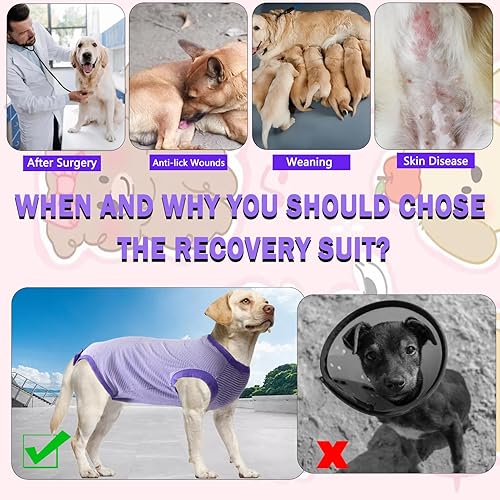 Vista 17 de Traje de recuperación de cirugía para perro, traje de recuperación quirúrgica para perro, macho y hembra, camisa esterilizada para poscirugía, cono