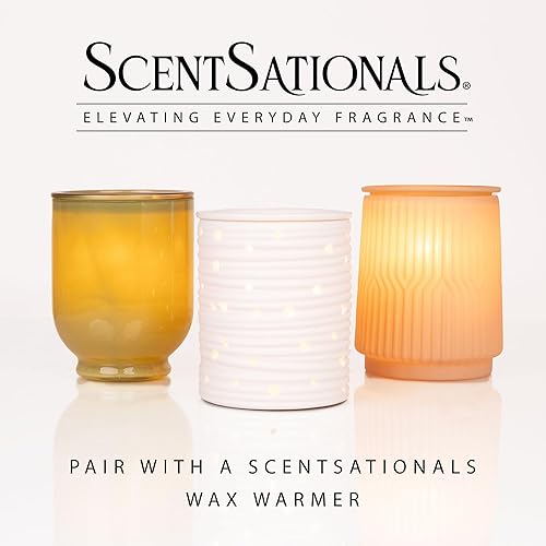 Miniatura 31 de Scentsationals Cera derretida, cubos de cera fuerte aroma, Zen – Fundición perfumada de larga duración para calentar, 10 onzas (24 cubos)