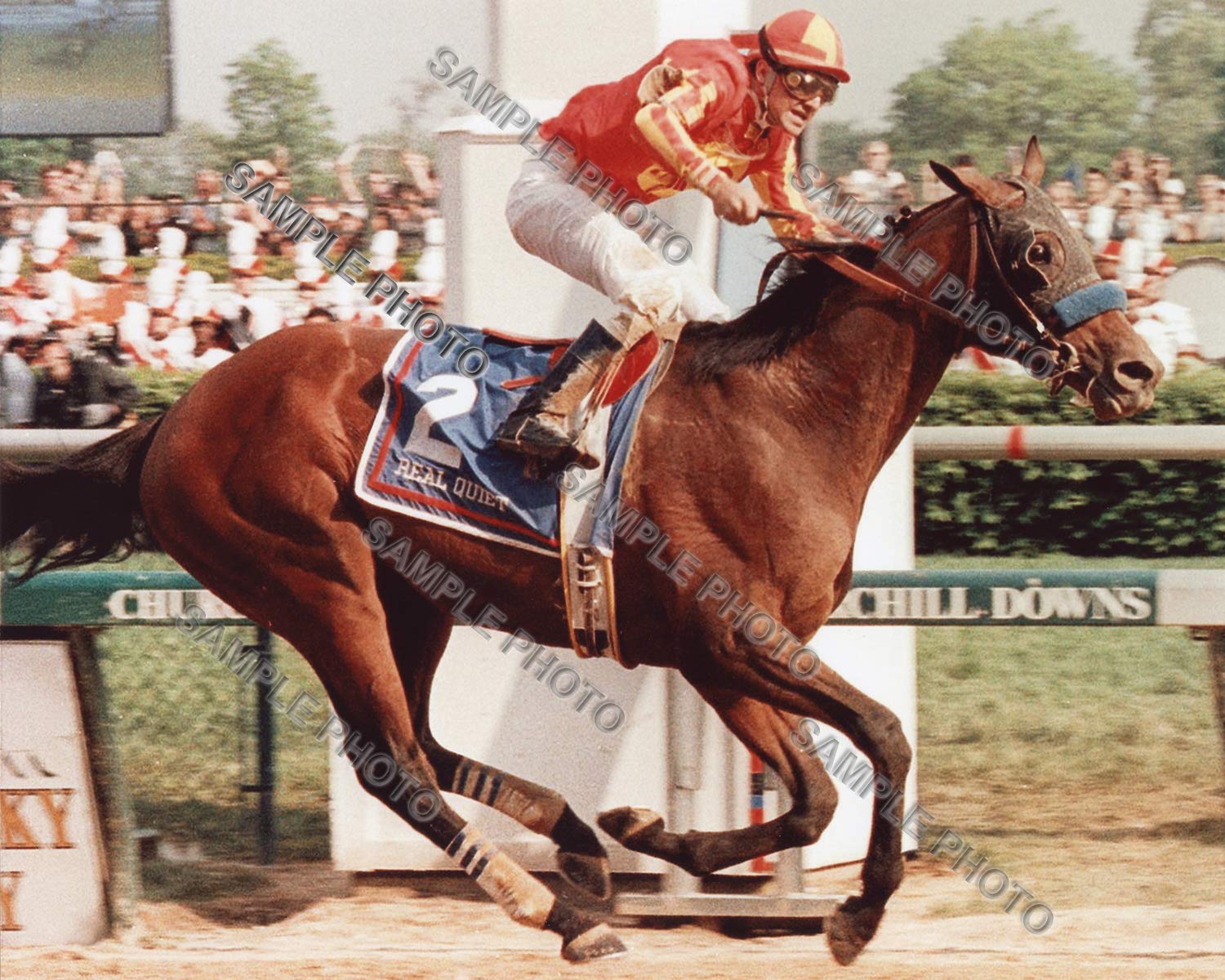 Amazon.com: Real Quiet 1998 Kentucky Derby Winner Horse Racing