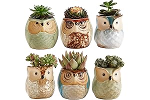 Owl Pot Ceramic Flowing Glaze Base Serial Set: The Perfect Owl Gifts for Owl Lovers