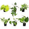 Product Photo 1
