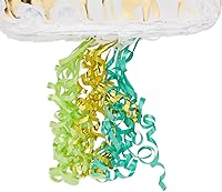 Vista 6 de BLUE PANDA Pull String - Pinata número 1 Wild One Safari Animals - Verde - 16.5 x 11.6 x 3 pulgadas - Centro de mesa de fiesta de la selva y diseño