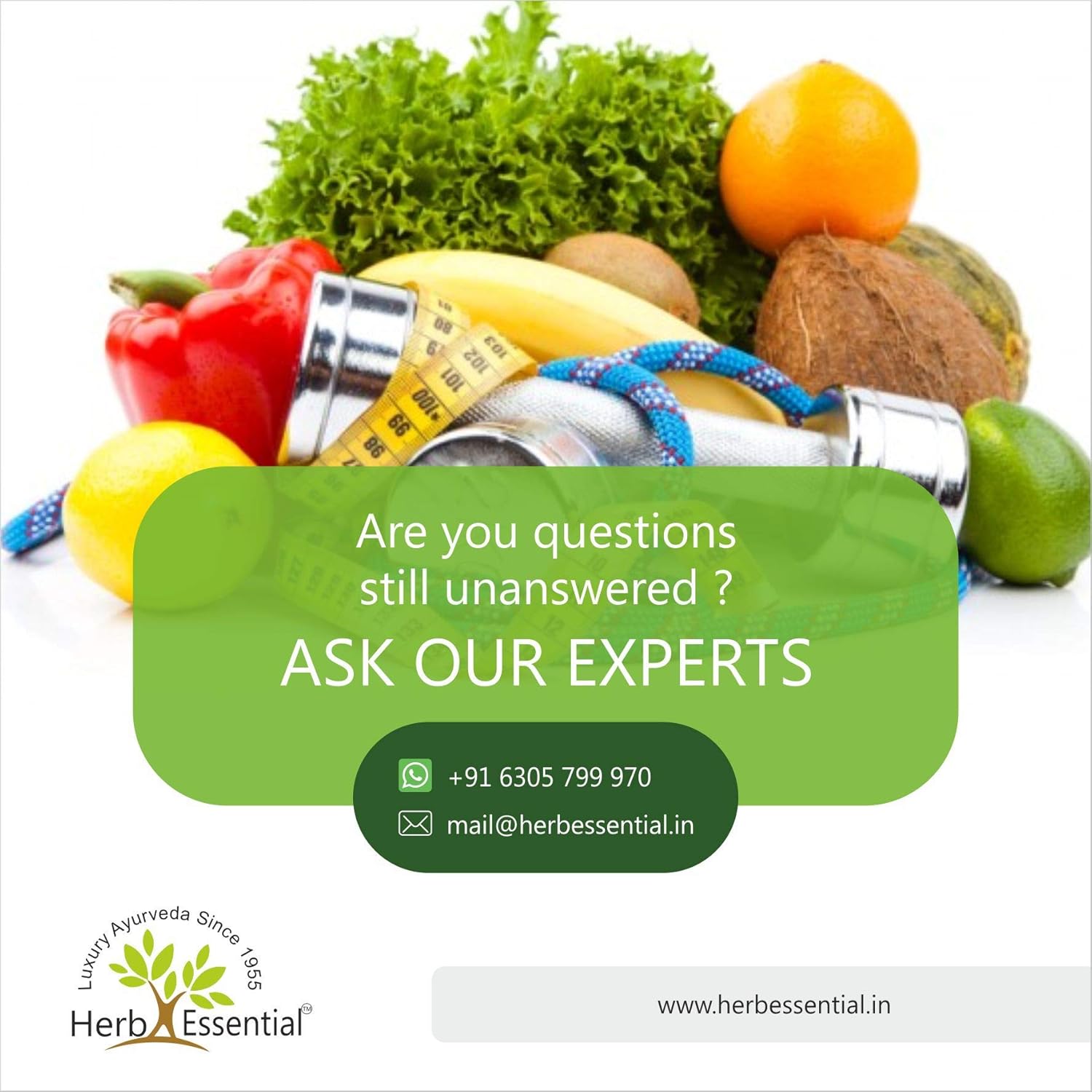 Herb Essential Organic Gotu Kola (Centella Asiatica) 500mg, Vegetarian 60 Tablets, Gluten Free Supplement with No Added Colors, Flavors and Preservatives - Image 7