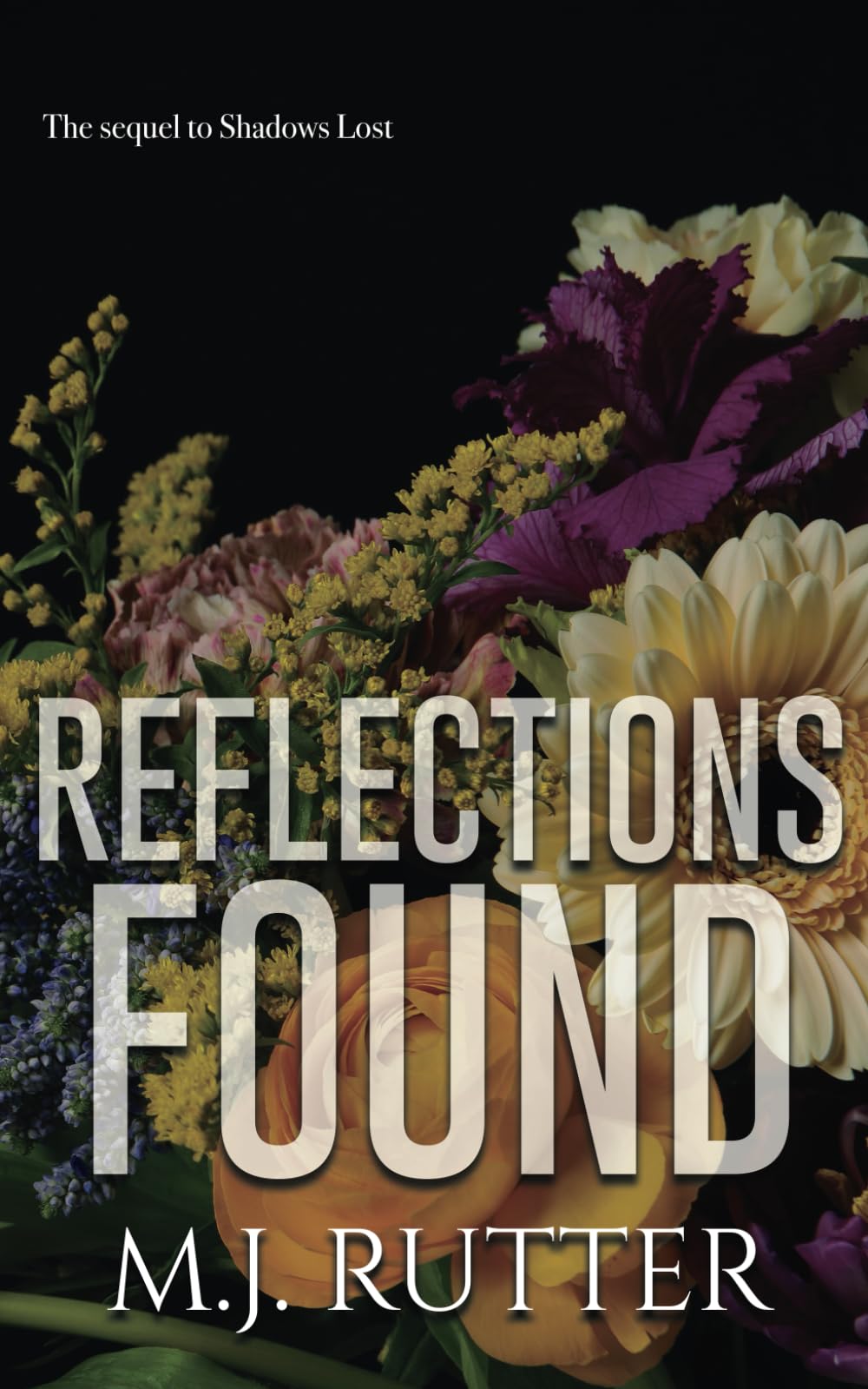 Reflections Found: The Sequel to Shadows Lost