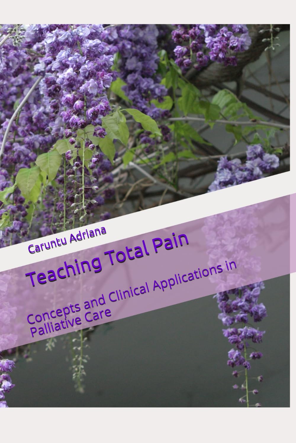 Teaching Total Pain: Concepts and Clinical Applications in Palliative Care (Palliative education)