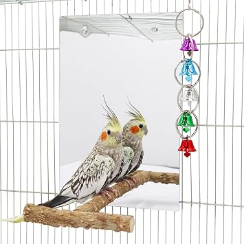 Oooct Large Bird Mirror Toy with Perch Stand, Parrot Parakeet Mirror with Bird Swing Bell Toys, Bird Cage Accessories, Suitable for Parakeet Cockatiel Conure Lovebirds - 11.8 7.9 Inch