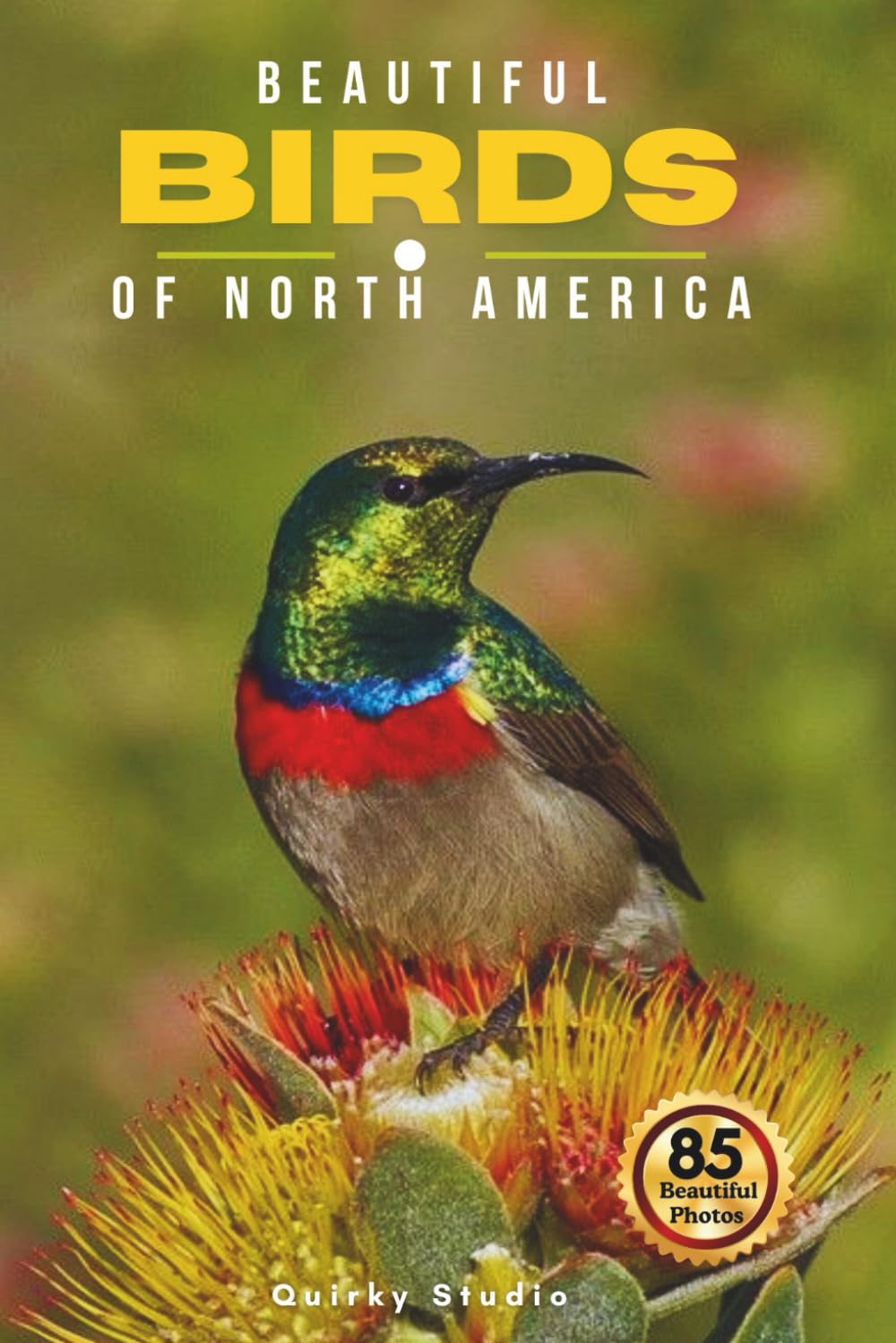 Beautiful Birds of North America: A Calming Coffee Table Photo Collection for Seniors with Dementia, Alzheimer’s, Memory Care, and All Bird Lovers