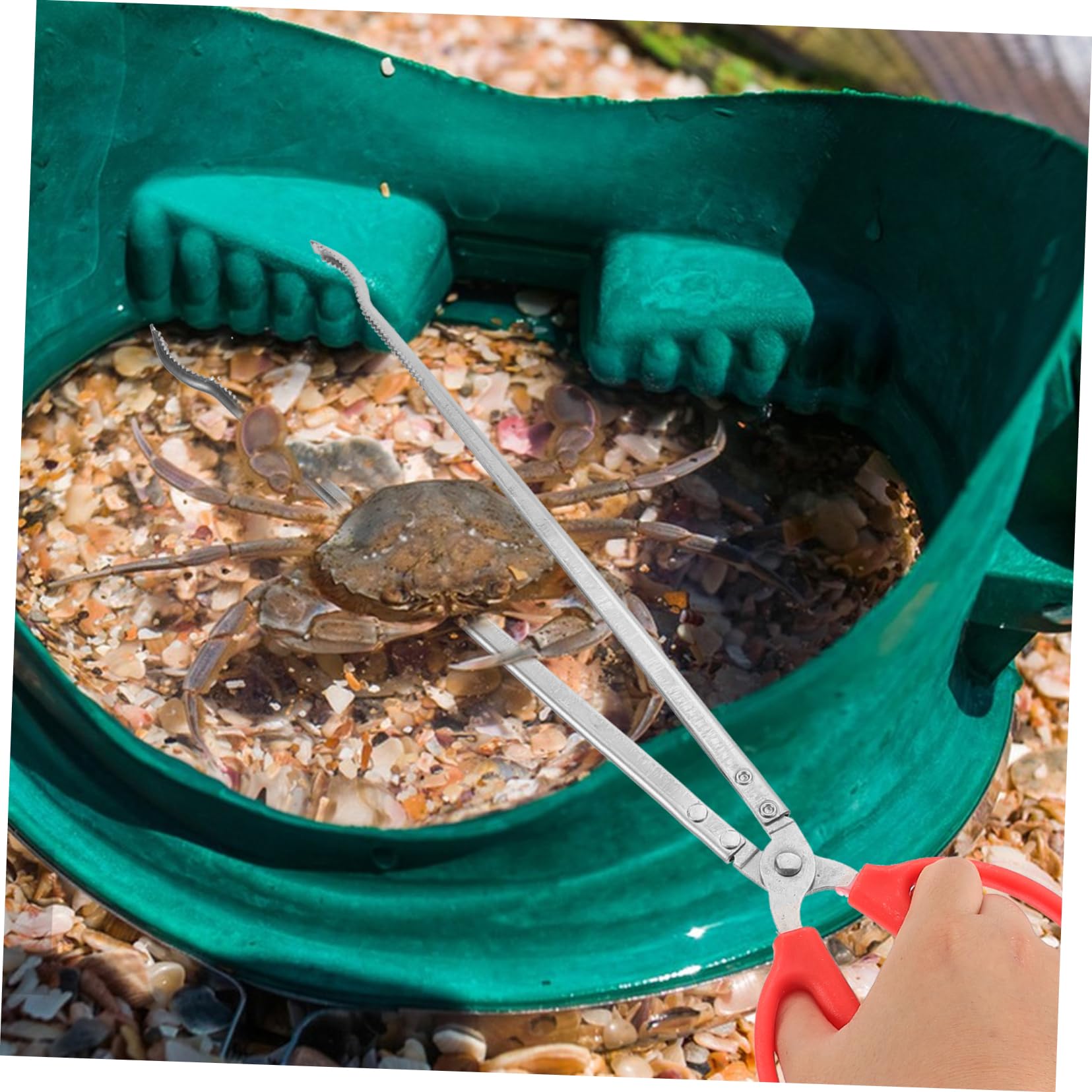 Pince à Crabes En Acier Inoxydable HOLIDYOYO - Outil De Pêche Ergonomique Pour Attraper Crustacés Et Poissons - 11