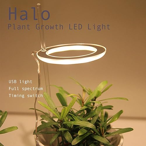 Miniatura 7 de MISNODE One Head - Juego de luces LED para cultivo de suculentas, lámpara de anillo de ángel USB para suculentas, lámpara de cultivo de plantas de