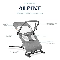 Vista 3 de Mecedora portátil Baby Delight Alpine Deluxe Para bebés 0 – 6 meses Paño color carbón