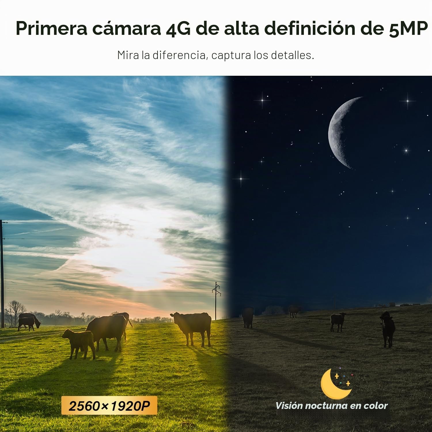 Ctronics 5MP Cámara de vigilancia WiFi Exterior Cámara IP PTZ | Visión Nocturna Color 25 M 2560 X1920P Detección Humana Seguimiento automático 355 ° Pan 90 ° Tilt Audio Bidireccional IP66