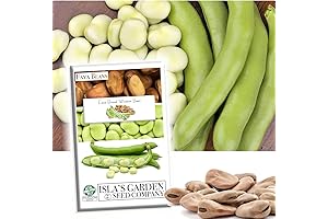 Isla's Garden Seeds "Broad Windsor" Fava Bean Heirloom Seeds
