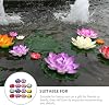 Ipetboom Floating Pool, Flowers, Artificial Flowers, Lotus Flowers, Water Lily Pads, 14 Pieces, Pond, Pool, Lotus, Ornament, For Home, Patio, Garden, Aquarium, Wedding, Party, Holiday, Decoration