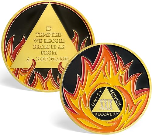 Miniatura 8 de Monedas AA y medallones de chips de sobriedad de llamas de 1 año, regalos de sobriedad para hombres y mujeres (año I)