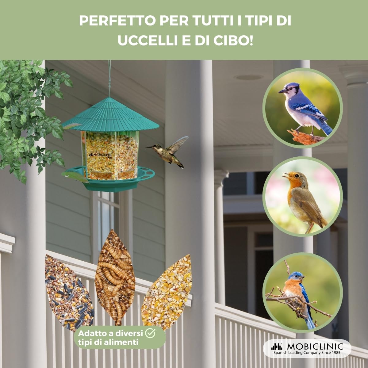 Mobiclinic Mangiatoia per Uccellini da Esterno 1,2L Balcone Giardino Decorativa