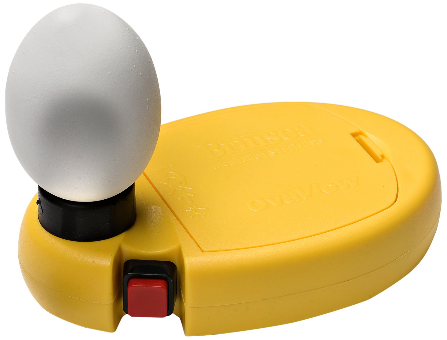 Brinsea Ovaview High Intensity Egg Candling Lamp Egg Candling Lamp