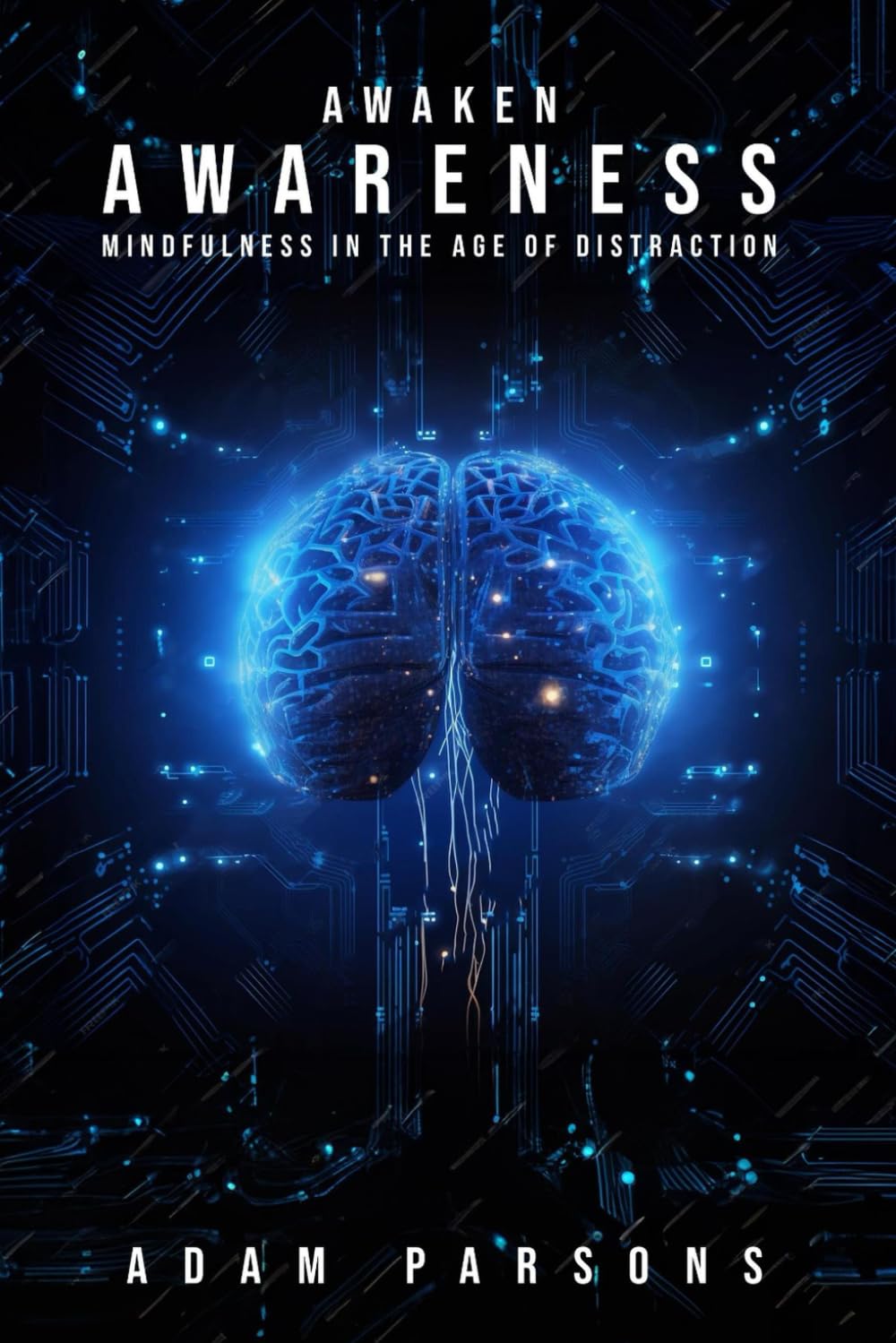 Awaken Awareness: Mindfulness in The Age of Distraction