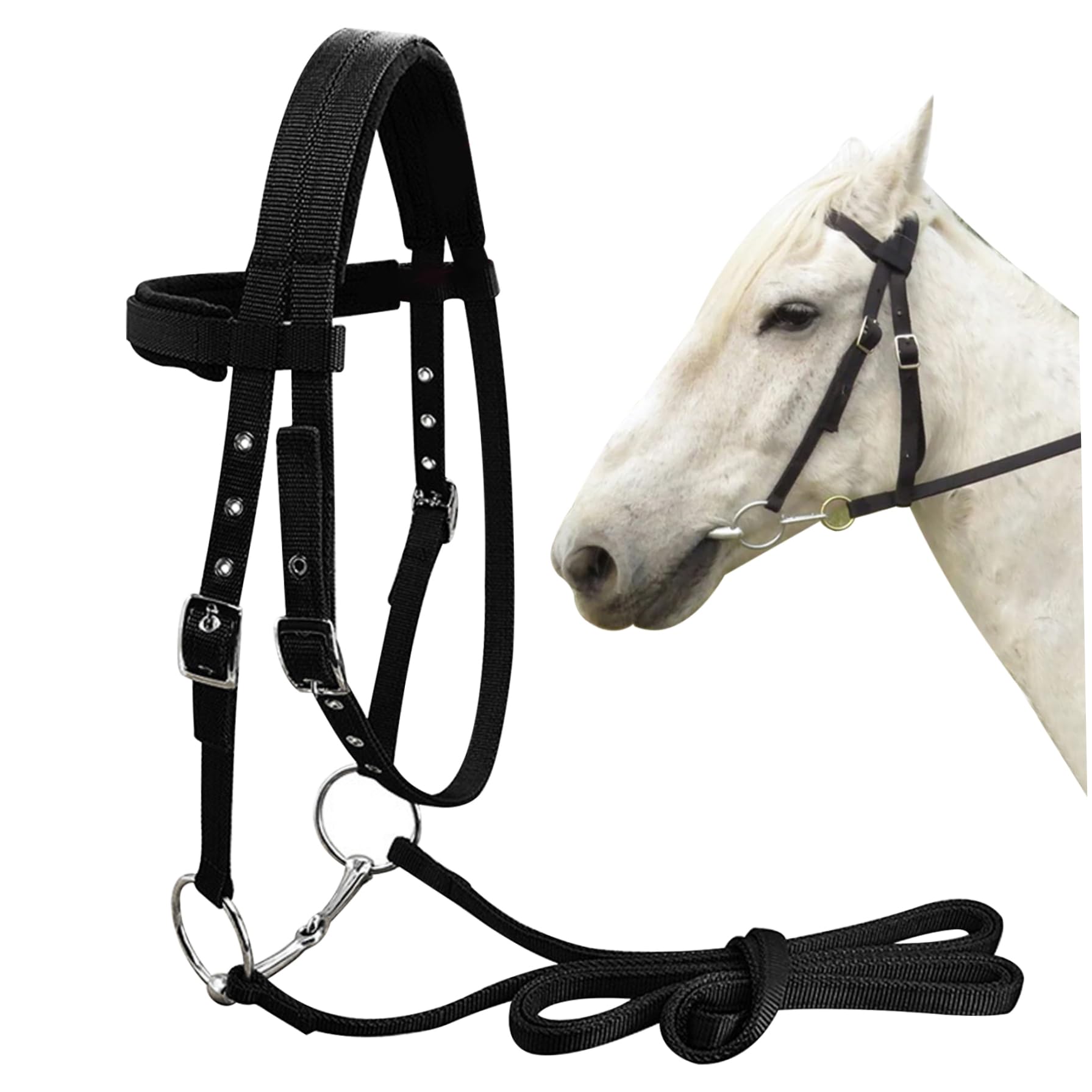 Cavezza per cavallo Cavezza regolabile spessa nera con hardware cromato Cavallo imbottito per da 1, 45 a 1, 6 metri/da ​​57 a 63 (grande)